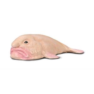 Collecta Figurine Animaux marins (S) : Blobfish