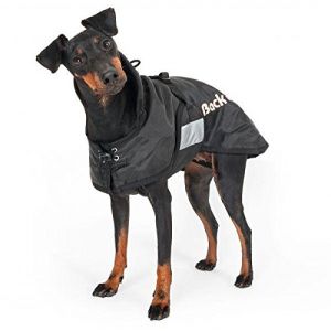 Back On Track Couverture pour chien