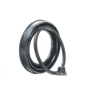 RIDEX Kit De R&eacute;paration &Eacute;trier De Frein FORD,FIAT,LANCIA 405R0011 9946104