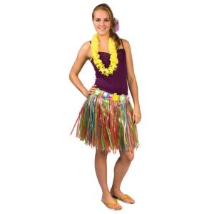 Jupe Hawaï Multicolore - Adulte - Femme