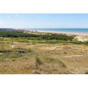 Bluebird Puzzle Puzzle Dunes d'Hardelot, Côte d'Opale, France