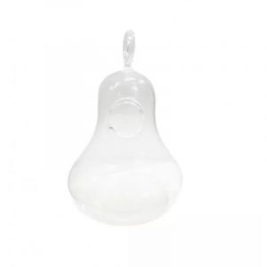 Vase &agrave; suspendre petit en verre transparent - GLASSBOX