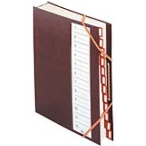 Extendos Trieur 12 cases en plastique (24 x 32 cm)