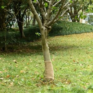 VidaXL Rouleau de jute 0,25x100 m 100 % jute 200 g/m²