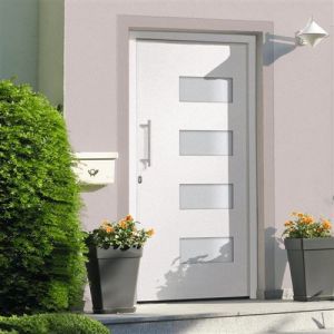 VidaXL Porte d'Entrée Porte d'Extérieur Sécurité Maison Jeu de Poignées Jeu de Clés Ruban Adhésif Aluminium et PVC Blanc 100x200 cm