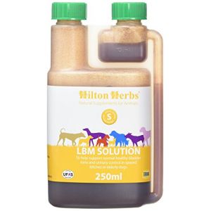 Hilton Herbs LBM Solution chien 250 ml