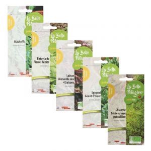 Image de Ecodis 5 sachets de graines à semer - variétés