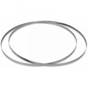 Vertes - 2x Lame de Rechange 1650 mm Pour Scie à Os Électrique, Acier Inox