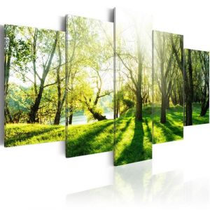 Image de Artgeist Tableau - Green Glade 100x50