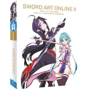 Image de Sword Art Online II %u2013 Arc 2 & 3 : Calibur & Mother%u2019s Rosario