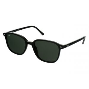 Ray-Ban RB2193 Leonard Lunettes de soleil - extras