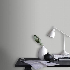 Superfresco Easy Pumice Gris souris - Papier peint - 1005x52 cm