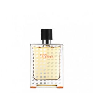 Herm&egrave;s Terre d'Herm&egrave;s - Eau de Toilette &Eacute;dition Limit&eacute;e Flacon H - Vaporisateur - 100 ml