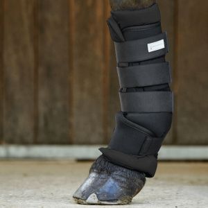 Waldhausen Gu&ecirc;tres d'&eacute;curie pour cheval (x2)