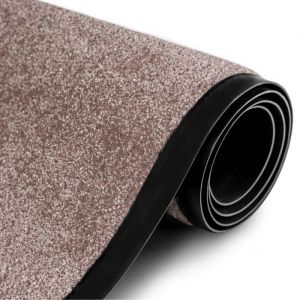 Tapis de Porte Paillasson d'entr&eacute;e Rhine Gull 40 x 60 cm