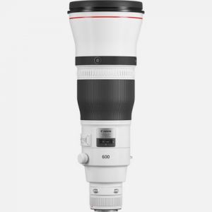 Canon EF 600 mm f/4 L IS III USM