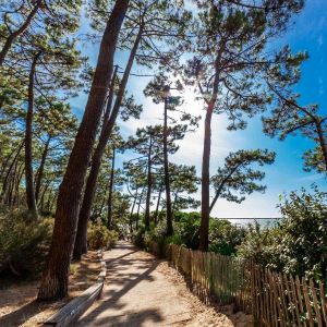Ceanothe Tableau sur toile bassin d'Arcachon 90x90 cm