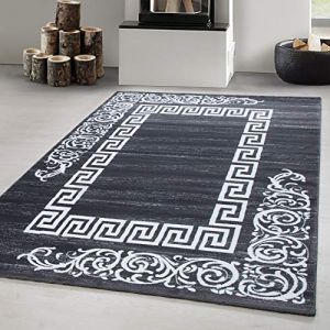 Tapis de salon design moderne, facile d'entretien, tapis moelleux, Gris Tapis 200 x 290 cm