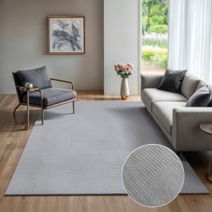 The carpet Rio tapis salon, chambre, design, élégant, antidérapant, Gris, 160x220 cm