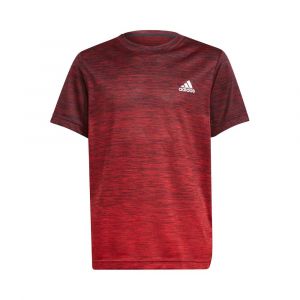 Adidas T-shirt Manche Courte A.r. Grad 116 cm Legend Ink / Vivid Red / White