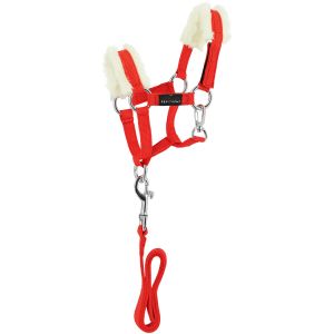 Ensemble licol et longe pour cheval Equithème Pony Academy