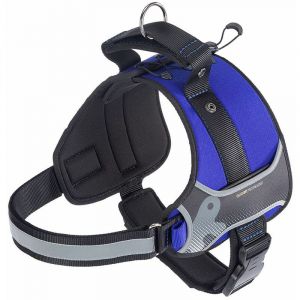 Ferplast HERCULES P Harnais technique pour chiens avec poign&eacute;e et bords r&eacute;fl&eacute;chissants. Diff&eacute;rentes couleurs et tailles.. Variante - Mesures: A: