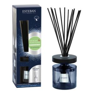 Image de Esteban Paris Bouquet parfumé Ellipse - Thé blanc & Ylang ylang Bleu Parfums - Couleur Bleu - Taille TS