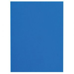 Exacompta Réf. 160010E - Carton de 5 paquets de 100 chemises rigides FLASH 220 g/m2 aux teintes vives - 100% recyclées et certifiées Ange Bleu - dimensions 24x32 cm pour format A4 - bleu foncé