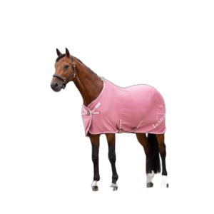 Image de Lemieux Chemise s&eacute;chante pour cheval en bambou Kudos