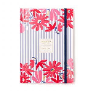 Draeger Agenda Rayé Home Office 2025-2026
