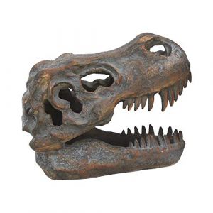 Nemesis Now Tyrannosaure Rex Cr&acirc;ne Autonome Gris 18,5 cm