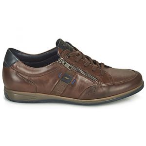 Fluchos Baskets basses DANIEL Marron - Taille 40,41,42,43