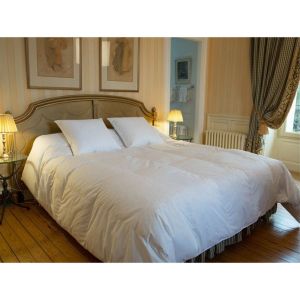 Castex Couette éco canard 30% duvet (260 x 300 cm)