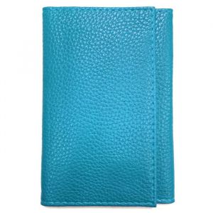 LOLUNA - Porte document voiture en cuir - Etui carte grise permis identité crédit pour homme et femme - Ciel Truquoise