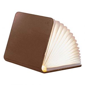 Gingko Lumière livre intelligente en cuir Grand Brun