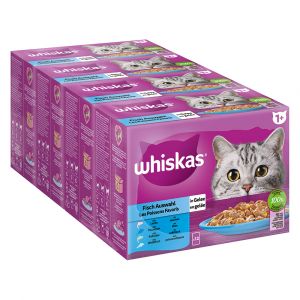 Whiskas Mégapack Adult 1+ 48 x 85 g pour chat - Sélection de poisson en gelée