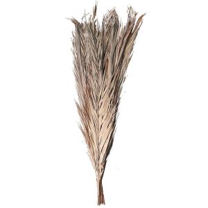 Ruedelafete Bouquet 9 Feuilles de Dattier 110cm, Naturel