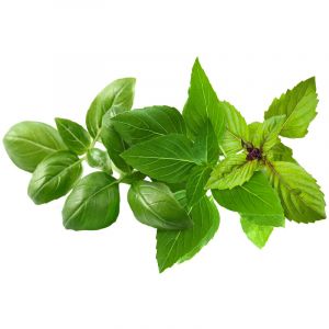 Click and Grow Click & Grow Basil Variety Mix /9-pack