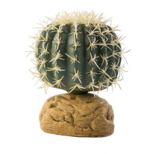 Image de Exo terra Décoration Cactus Oursin