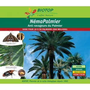 Biotop Nématodes palmier contre charançon rouge et papillon Conditionnement - 500 millions de nématodes