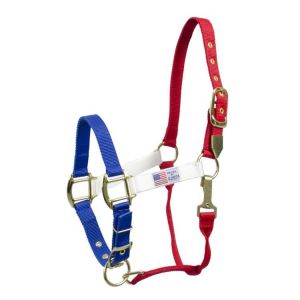 Licol pour cheval nylon Pool's