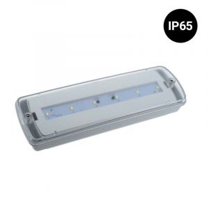 Barcelona led Bloc de secours LED étanche IP65 3W 3h d'autonomie