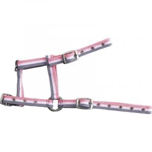 Norton clipper Licol pour poulain réglable