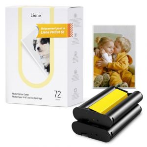 Liene PR001-65009 Papier photo 10 x 15 cm 1 set