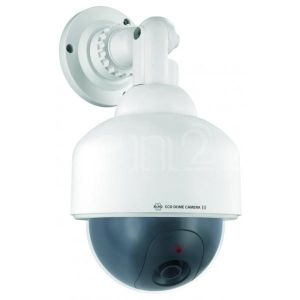 Image de CS88D - Caméra factice