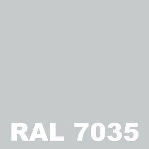 Peinture Escalier Metal - Gris clair - RAL 7035 - Pot 1L