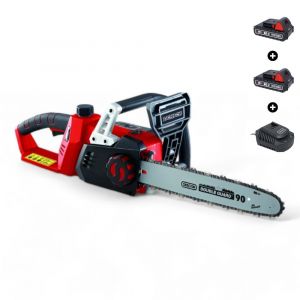 Pack tronçonneuse sans fil 40V, guide Oregon 35 cm, 2 batteries incluses - DUNSCH DU30040-35CTF