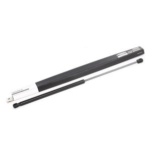 RIDEX V&eacute;rin De Capot CITRO&Euml;N 514G0104 792513 Amortisseur De Capot,Ressort pneumatique, capot-moteur