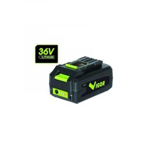 Image de Vigor Lithium S&eacute;rie Vx Batterie Vx 36 Volt
