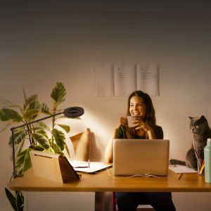 Ledvance Lampe &agrave; pince LED &agrave; intensit&eacute; variable SUN@HOME LED/15W/230V CRI 95 Wi-Fi